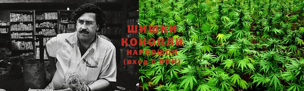 прущий лед Магас