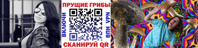 Псилоцибиновые грибы GOLDEN TEACHER как найти МЕГА зеркало Сольцы